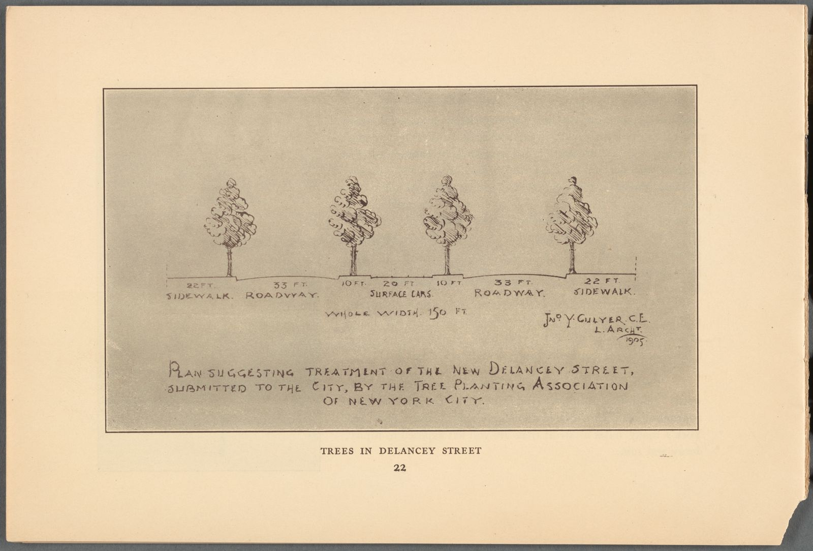 Archival sketch labeled "Trees In Delancey Street". A diagram shows four sidewalk trees separated by roadways.  